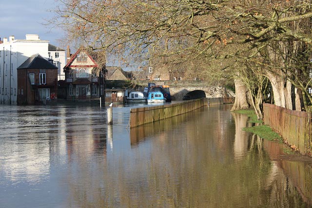 flooded-cc-meadow