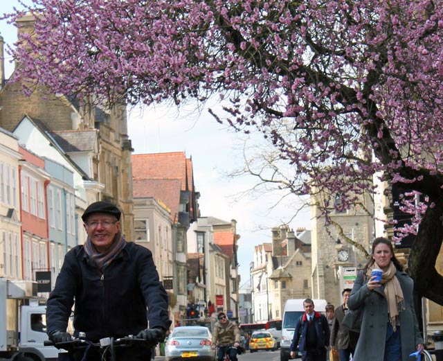 spring-blossom