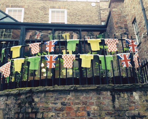 bunting