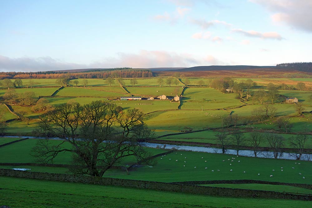 wharfe-valley-early-1000