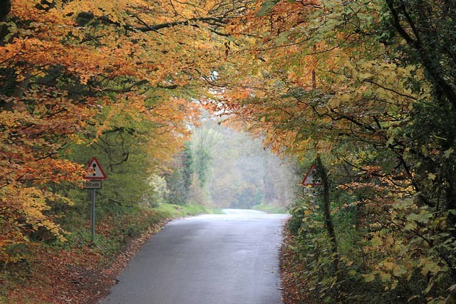saintbury-3
