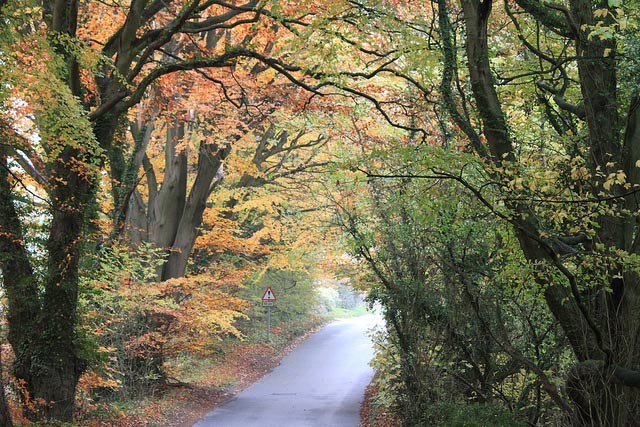saintbury-4