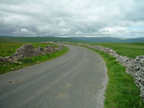 top-fleet-moss