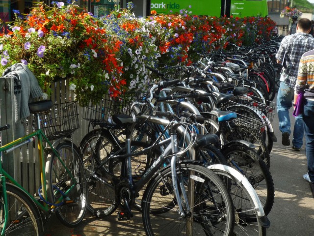 parked-bikes-flowers