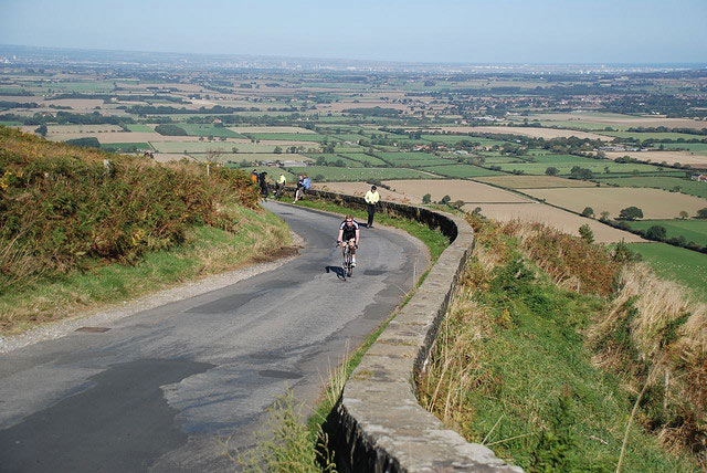 carlton bank