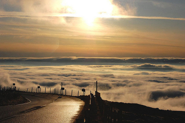 heandfi-fiona-hartside-floods-2009