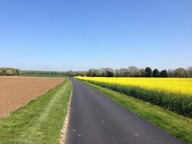 country-road