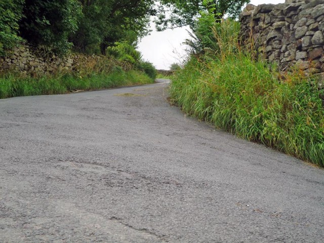 oxnop scar