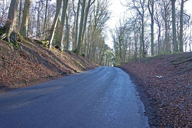kingston-blount2