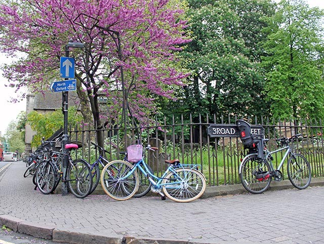 nice-bike-under-tree