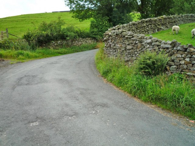 oxnop scar
