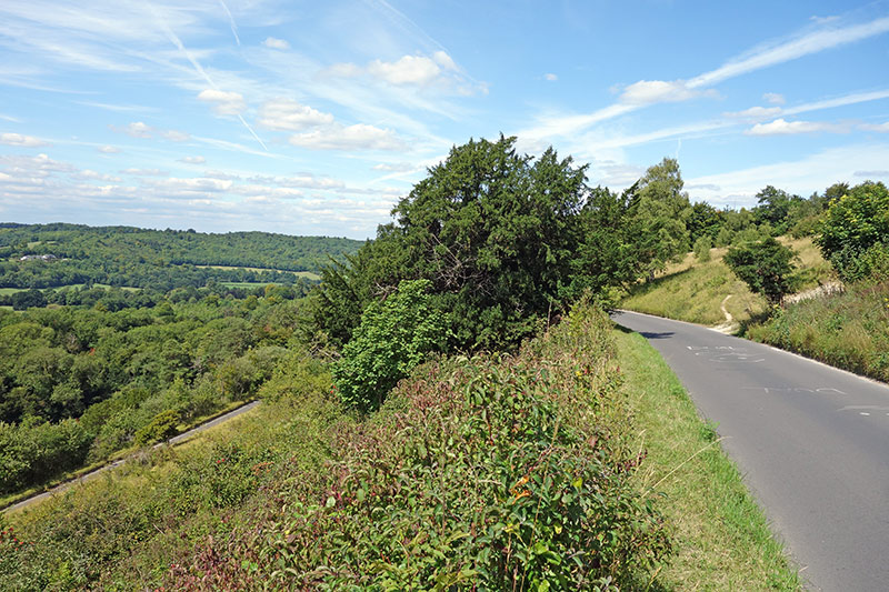 box-hill2
