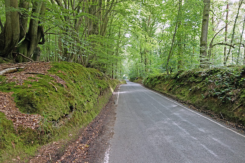 cold-harbour-lane