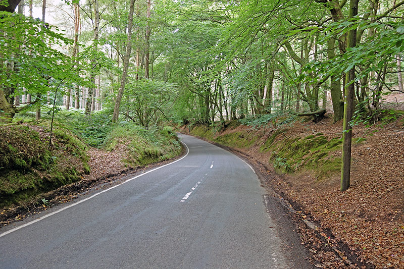 cold-harbour-lane