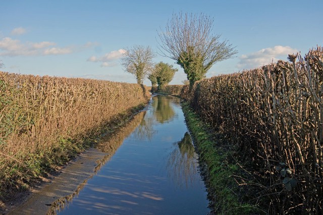 flooded-road