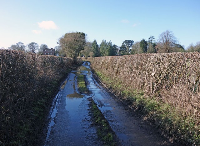 muddy lane