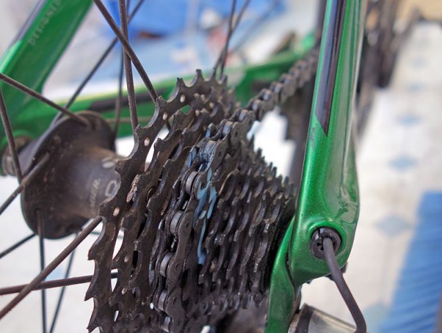 lube-oil-rear-cassette