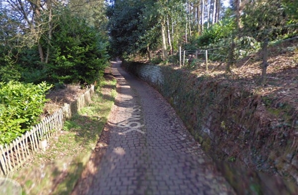 Swiss Hill