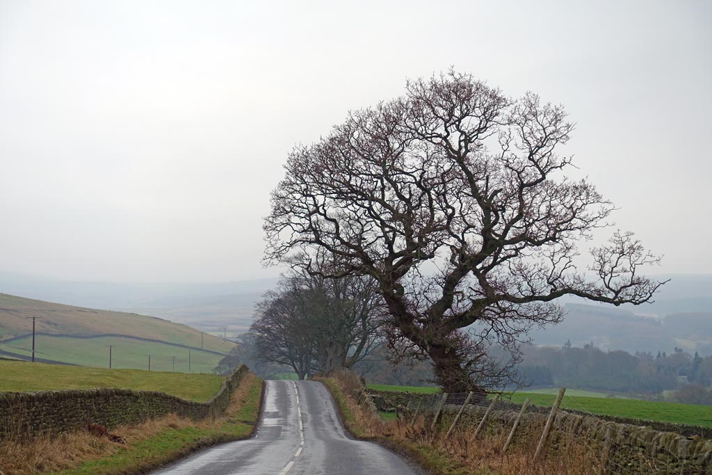 road-to-burnsall-2