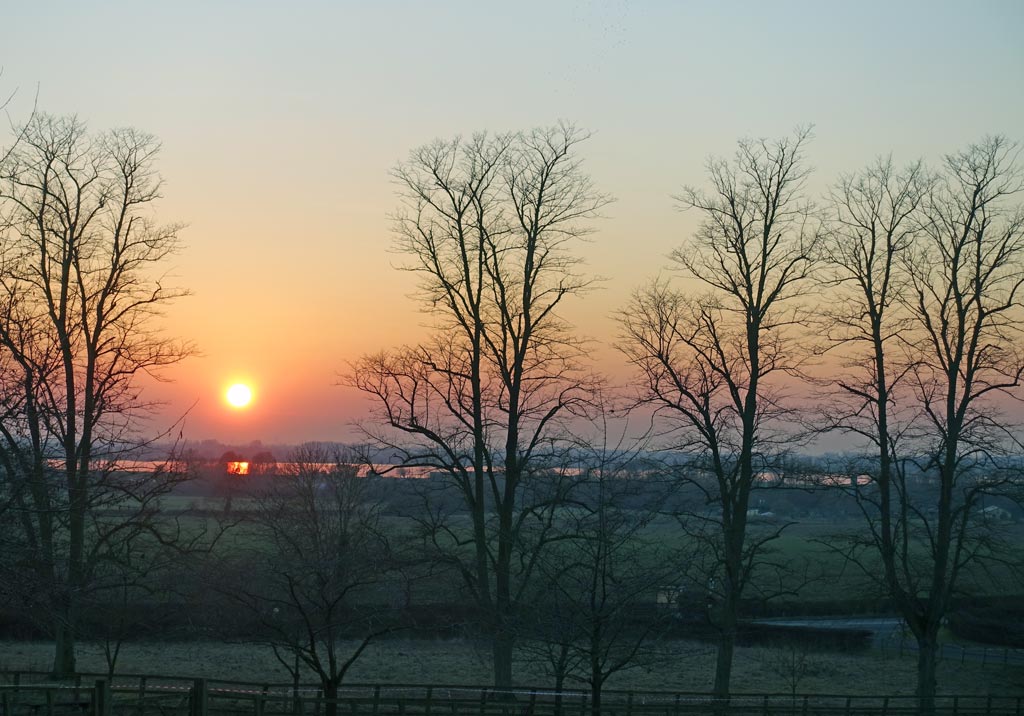 setting-sun-trees-botley-1024