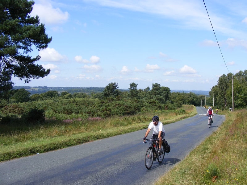 ashdown forest
