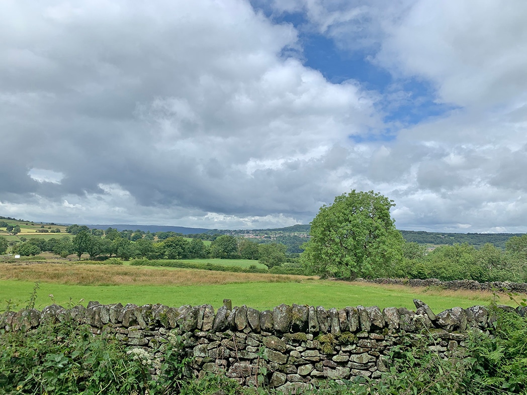 matlock